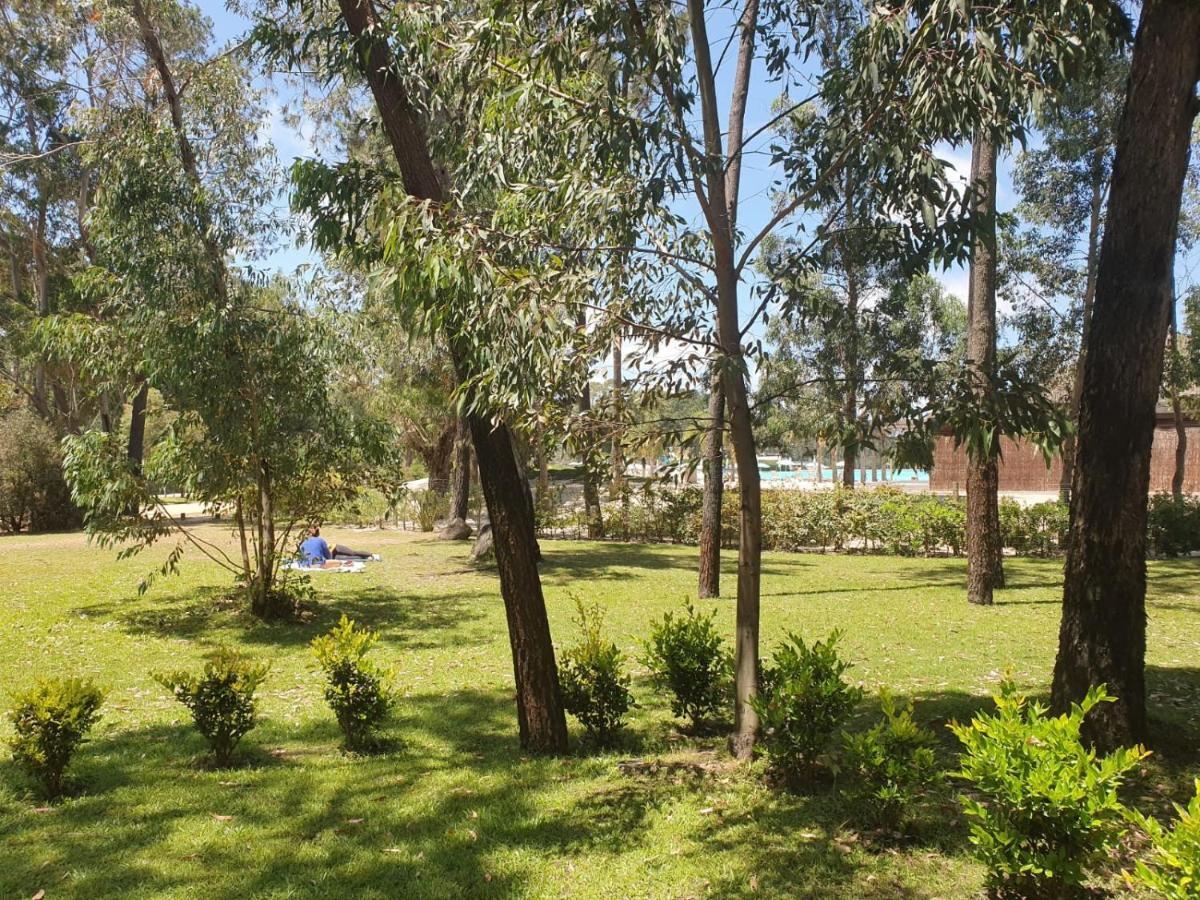 Punta Del Este, Forest Lagoon, Luxury Exterior photo